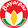 Bayarpar Foundation
